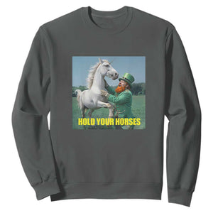 Funny Leprechaun Hold Your Horse Sweatshirt Unicorn St Patrick's Day TS02 Dark Heather Print Your Wear