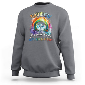 God's Promise Sweatshirt Rainbow A Promise Of God Not A Symbol Of Pride TS02 Charcoal Printyourwear