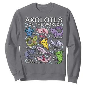 Kawaii Axolotl Sweatshirt Axolotls of the World Animals Aquarium Species TS02 Charcoal Print Your Wear