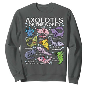 Kawaii Axolotl Sweatshirt Axolotls of the World Animals Aquarium Species TS02 Dark Heather Print Your Wear