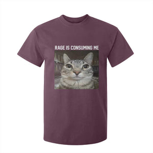 Funny Silly Cat Meme T Shirt For Kid Rage Is Consuming Me Staring TS02 Maroon Print Your Wear