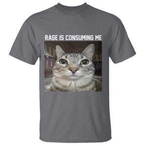 Funny Silly Cat Meme T Shirt Rage Is Consuming Me Staring TS02 Charcoal Print Your Wear