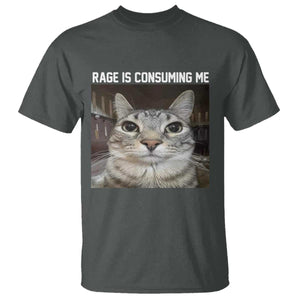 Funny Silly Cat Meme T Shirt Rage Is Consuming Me Staring TS02 Dark Heather Print Your Wear