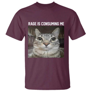 Funny Silly Cat Meme T Shirt Rage Is Consuming Me Staring TS02 Maroon Print Your Wear