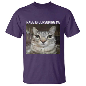 Funny Silly Cat Meme T Shirt Rage Is Consuming Me Staring TS02 Purple Print Your Wear