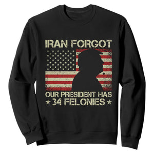 Iran Forgot Our President Has 34 Felonies Sweatshirt Funny Political Satire Patriotic Flag TS02 Black Print Your Wear