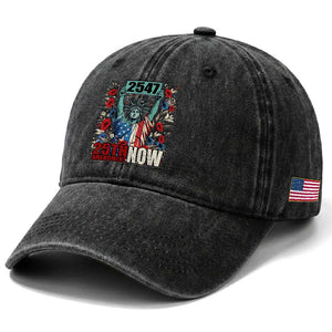 25th Amendment Now 2547 Washed Cotton Baseball Cap Statue of Liberty Floral Political Statement Graphic TS02 Print Your Wear
