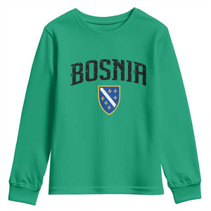 Vintage Bosnia Coat of Arms Minimalist Youth Sweatshirt Golden Lily Heritage Shield Graphic TS02 Irish Green Print Your Wear