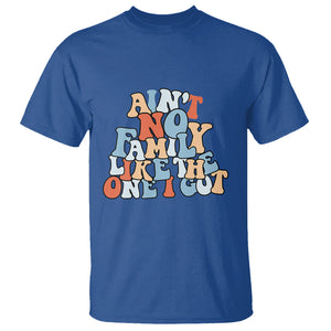 Family Reunion T Shirt Ain't No Family Like The One I Got Funny TS02 Printyourwear