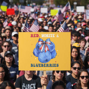 Red White and Blueberries Protest Sign Charlie Kirk Tribute 1993 2025 Memorial TS02 Horizontal 18" × 24" Yellow Print Your Wear