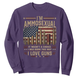 Funny Patriotic Second Amendment Humor American Flag Sweatshirt Im Ammosexual I Love Guns Owners Veterans