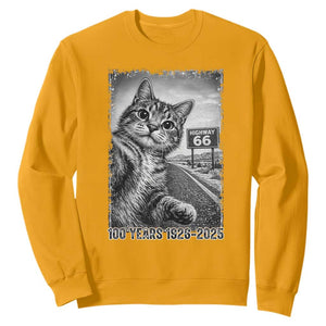 Funny Road Trip Cat Selfie with Highway 66 Sweatshirt Centennial 1926-2026 Historic Highway Humor TS02 Gold Print Your Wear