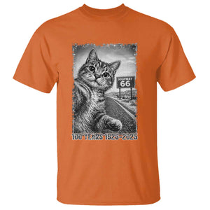 Funny Road Trip Cat Selfie with Highway 66 T Shirt Centennial 1926-2026 Historic Highway Humor TS02 Orange Print Your Wear