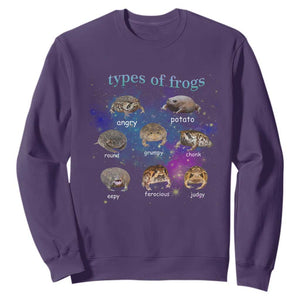 Types Of Frogs Funny Rain Frog Meme Chart Sweatshirt Angry Grumpy Eepy Chonk Potato Round Judgy Ferocious