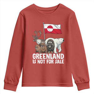 Greenland Is Not For Sale Youth Sweatshirt Arctic Animal Resist Protest Greenland Flag TS02 Red Print Your Wear