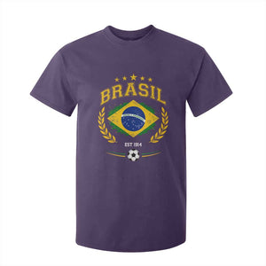 Retro Brasil Soccer Pride Crest Est 1914 T Shirt For Kid Vintage Brazil Flag Futbol Lover Football Fans