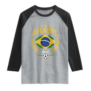 Retro Brasil Soccer Pride Crest Est 1914 Raglan Shirt Vintage Brazil Flag Futbol Lover Football Fans