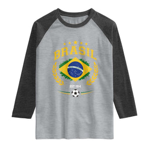 Retro Brasil Soccer Pride Crest Est 1914 Raglan Shirt Vintage Brazil Flag Futbol Lover Football Fans