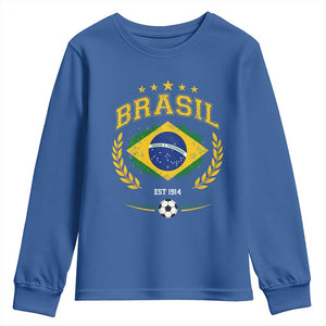Retro Brasil Soccer Pride Crest Est 1914 Youth Sweatshirt Vintage Brazil Flag Futbol Lover Football Fans