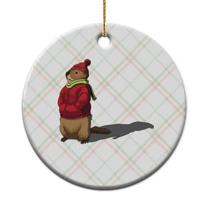 Groundhog Shadow Ceramic Ornament Funny Woodchuck Ground Hog Meteorlogy TS02 1pc Christmas Plaid Print Your Wear