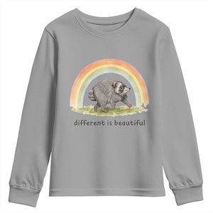 Cute Viral Raccoon Positive Quote Youth Sweatshirt Different Is Beautiful Pastel Rainbow Graphic TS02 Sport Gray Print Your Wear