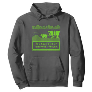 Retro 8-Bit Pixel 80s Game Over Parody Graphic Hoodie You Have Died Of Diarrhea Lettuce