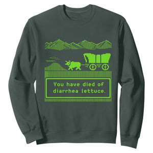 Retro 8-Bit Pixel 80s Game Over Parody Graphic Sweatshirt You Have Died Of Diarrhea Lettuce