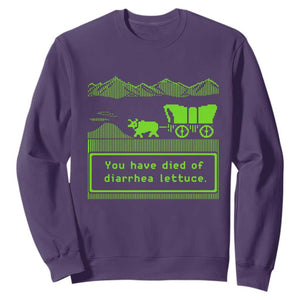Retro 8-Bit Pixel 80s Game Over Parody Graphic Sweatshirt You Have Died Of Diarrhea Lettuce