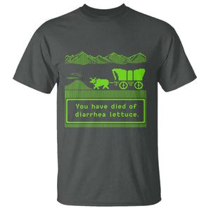 Retro 8-Bit Pixel 80s Game Over Parody Graphic T Shirt You Have Died Of Diarrhea Lettuce