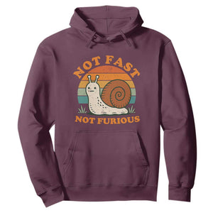 Funny Snail Introvert Slow Living Hoodie Not Fast Not Furious Retro Sunset