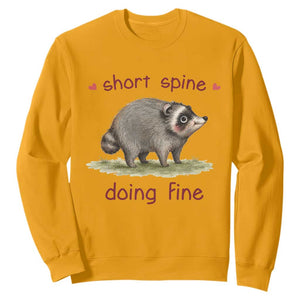 Cute Watercolor Jimothy the Raccoon Inspirational Sweatshirt Short Spine Doing Fine Viral Seattle Trash Panda Supporter