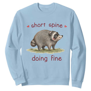 Cute Watercolor Jimothy the Raccoon Inspirational Sweatshirt Short Spine Doing Fine Viral Seattle Trash Panda Supporter