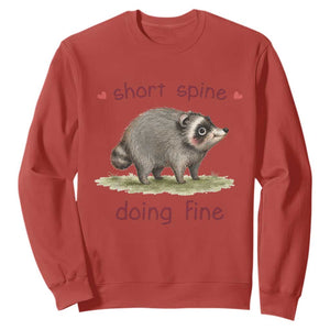 Cute Watercolor Jimothy the Raccoon Inspirational Sweatshirt Short Spine Doing Fine Viral Seattle Trash Panda Supporter