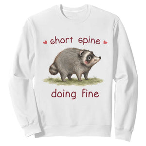Cute Watercolor Jimothy the Raccoon Inspirational Sweatshirt Short Spine Doing Fine Viral Seattle Trash Panda Supporter