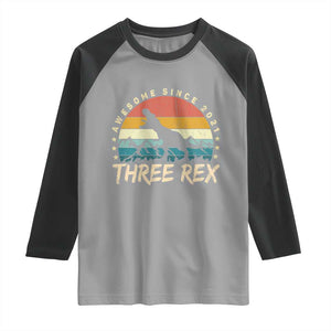 Three Rex 3rd Birthday Raglan Shirt 3 Years Old Dinosaur Bday Boy TS02 Sport Gray Black Print Your Wear