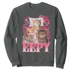 Eepy Sleepy Cats Y2K Bootleg Meme Graphic Sweatshirt Funny Internet Culture Humor