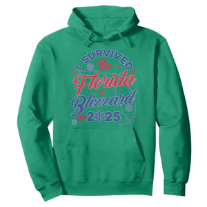 I Survived The Florida Blizzard Of 2025 Hoodie TS02 Irish Green Print Your Wear