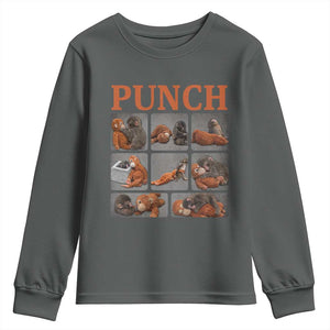 Cute Baby Monkey Punch with Plush Toy Graphic Youth Sweatshirt TS02 Dark Heather Print Your Wear