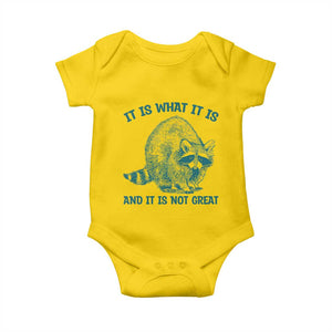 Funny Raccoon Meme It Is What It Is Baby Onesie And It Is Not Great Mental Health Support TS02 Daisy Print Your Wear