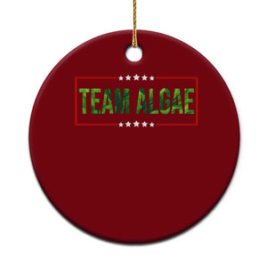 Team Algae Satire Ceramic Ornament Funny Lincoln Memorial Reflecting Pool Meme Parody