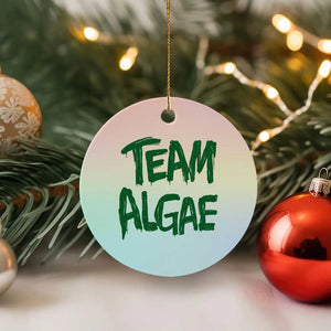 Team Algae Slime Dripping Style Graphic Ceramic Ornament Viral Lincoln Memorial Reflecting Pool Swamp Meme