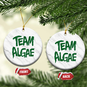 Team Algae Slime Dripping Style Graphic Ceramic Ornament Viral Lincoln Memorial Reflecting Pool Swamp Meme