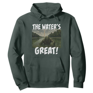The Water is Great Swamp Monster Reflecting Pool Hoodie Funny Washington DC Algae Creature Meme
