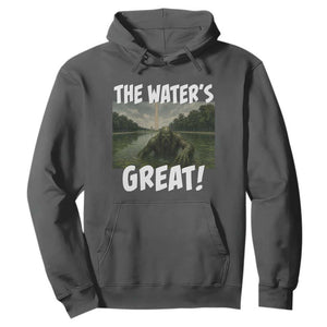 The Water is Great Swamp Monster Reflecting Pool Hoodie Funny Washington DC Algae Creature Meme