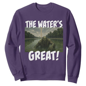The Water is Great Swamp Monster Reflecting Pool Sweatshirt Funny Washington DC Algae Creature Meme