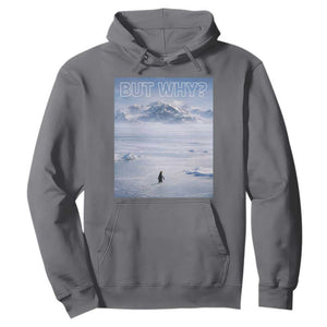 Funny Nihilist Penguin But Why Meme Hoodie Existential Arctic Scene Icy Wilderness Quiet Thinkers TS02 Charcoal Print Your Wear