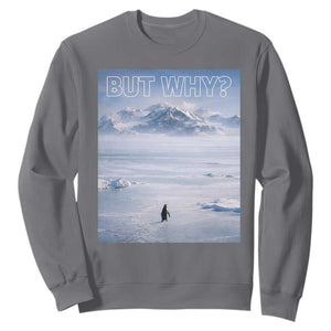 Funny Nihilist Penguin But Why Meme Sweatshirt Existential Arctic Scene Icy Wilderness Quiet Thinkers TS02 Charcoal Print Your Wear