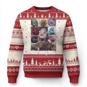 Baby Hippo Moo Deng Tour Ugly Christmas Sweater Bouncy Cute Pygmy Hippopotamus TS02 Red Print Your Wear