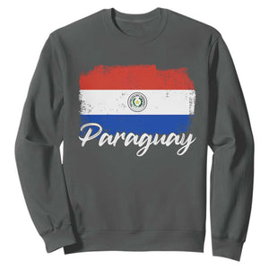 Vintage Paraguay Flag Paraguaya Heritage Pride Roots Sweatshirt TS02 S Dark Heather Print Your Wear