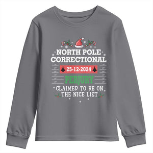 Funny Christmas Family Matching Youth Sweatshirt North Pole Correctional Perjury TS09 Charcoal Print Your Wear